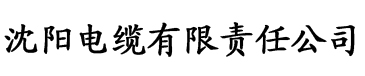 日韩理论片在线观看电缆厂logo